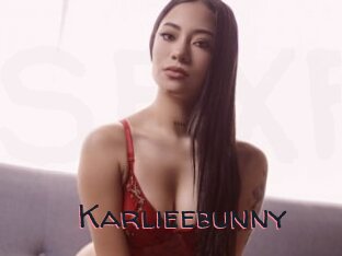 Karlieebunny