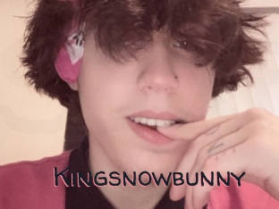 Kingsnowbunny