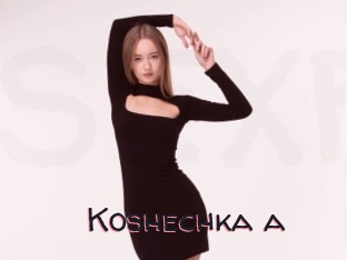 Koshechka_a