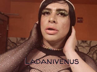 Ladanivenus