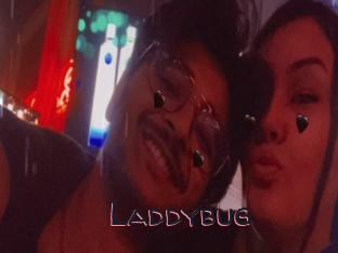 Laddybug