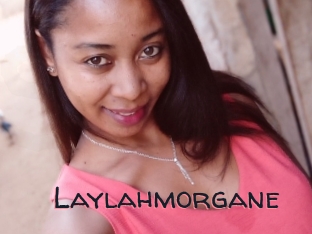 Laylahmorgane