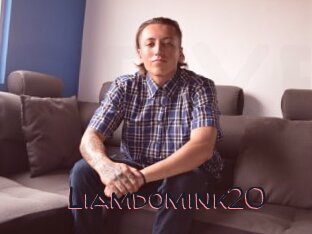 Liamdomink20