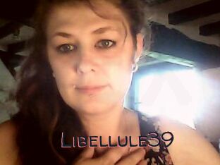 Libellule39