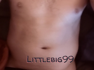 Littlebig99