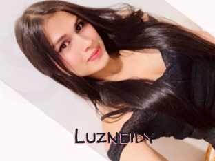 Luzneidy