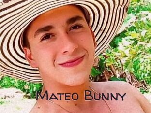 Mateo_Bunny