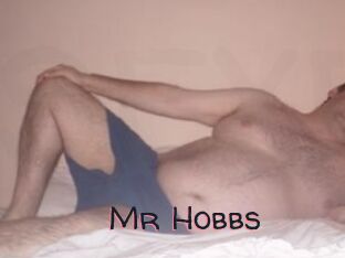 Mr_Hobbs