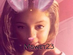 Mswet23