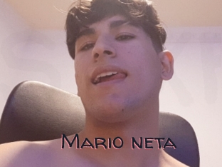 Mario_neta