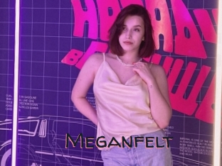 Meganfelt