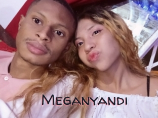 Meganyandi