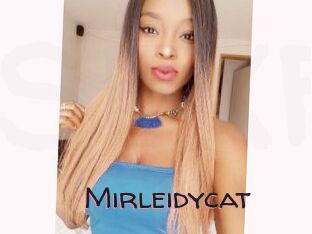 Mirleidycat