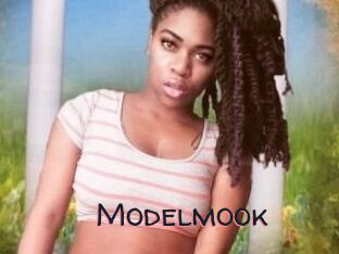 Modelmook