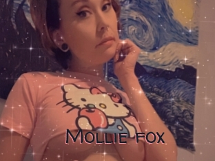 Mollie_fox