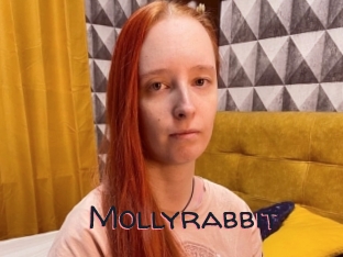 Mollyrabbit