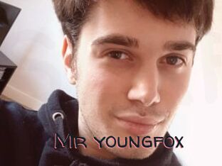 Mr_youngfox