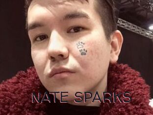 NATE_SPARKS