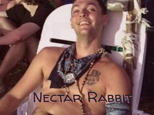 Nectar_Rabbit