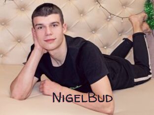 NigelBud