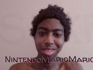 NintendoMarioMario