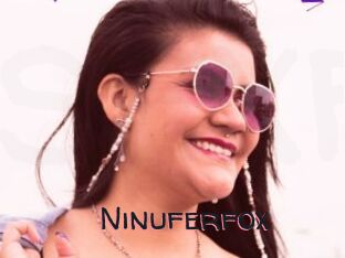 Ninuferfox