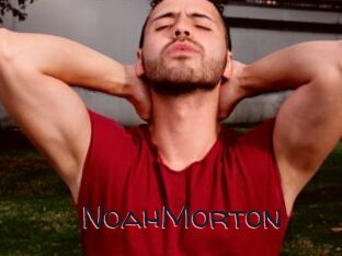 NoahMorton