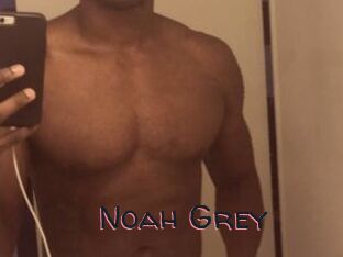 Noah_Grey