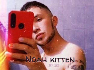 Noah_kitten