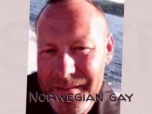 Norwegian_gay