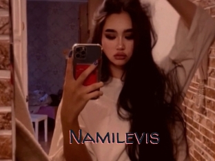 Namilevis