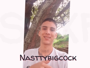 Nasttybigcock