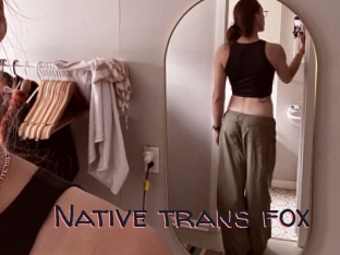 Native_trans_fox