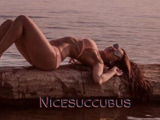 Nicesuccubus