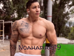 Noaharris19