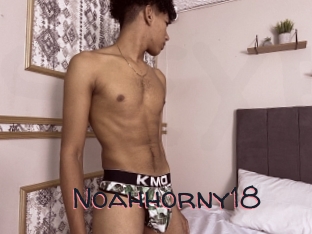 Noahhorny18