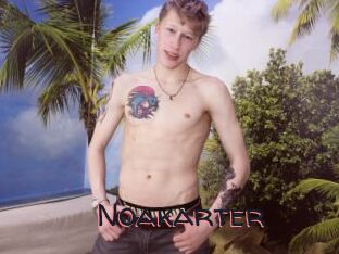 Noakarter