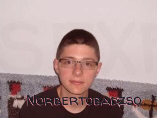 Norbertobadzso