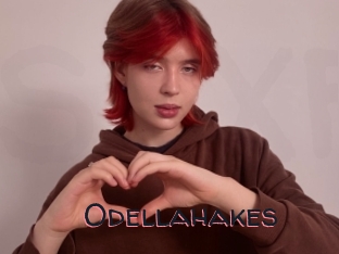 Odellahakes