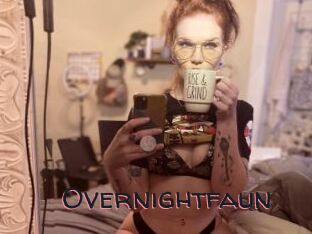 Overnightfaun