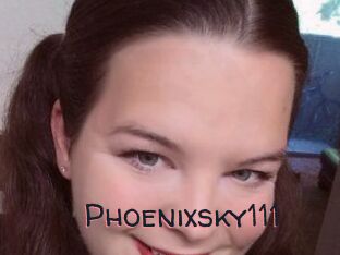 Phoenixsky111