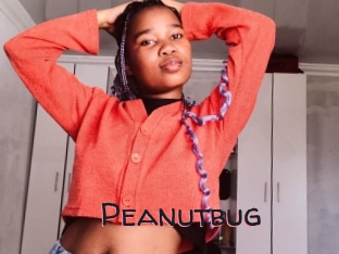 Peanutbug