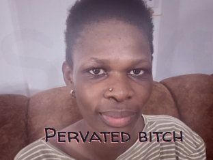 Pervated_bitch