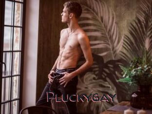 Pluckygay