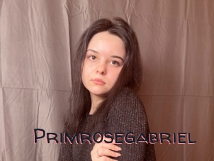 Primrosegabriel