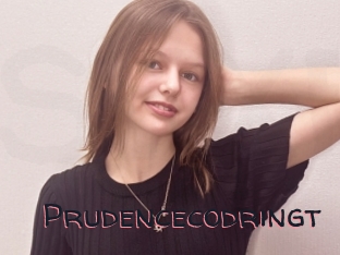 Prudencecodringt