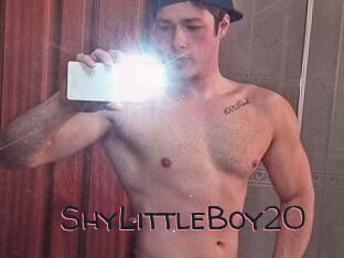 ShyLittleBoy20