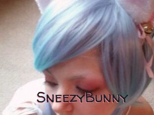 Sneezy_Bunny