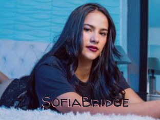 SofiaBridge