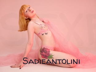 Sadieantolini